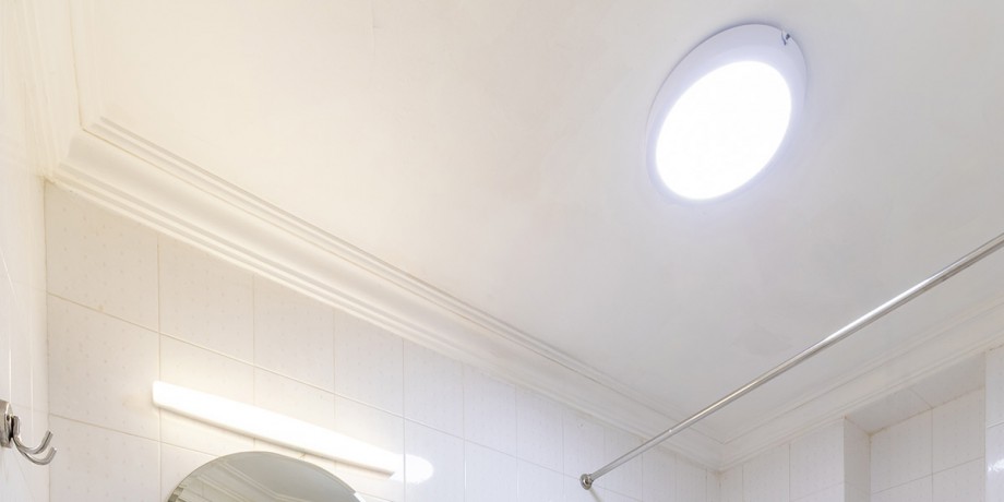 tieuchuan102 (7).jpg